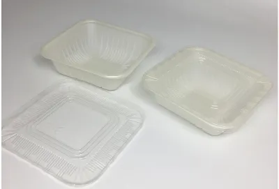 Vacuum Forming Plastic Tray