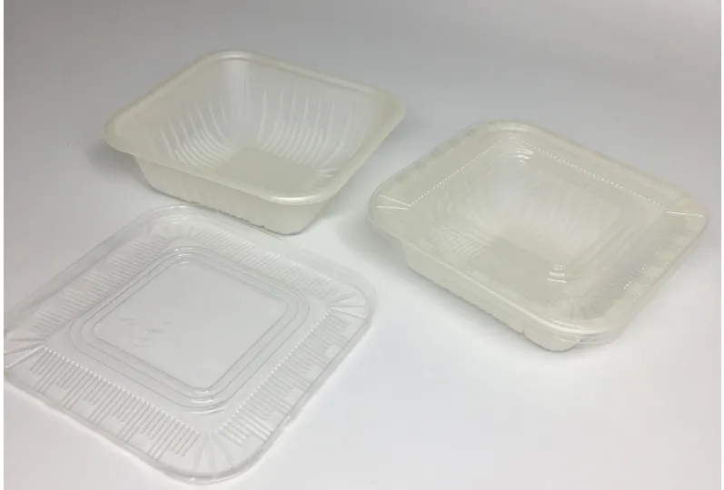 Vacuum Forming Plastic Tray